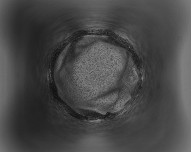 X0000095690965200801291214