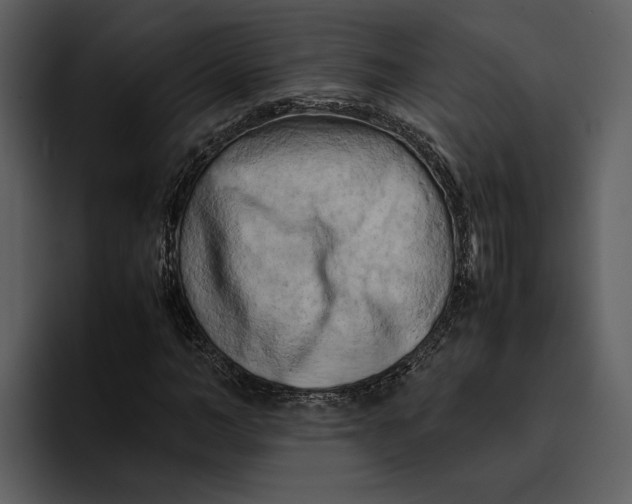 X0000095690966200801291214