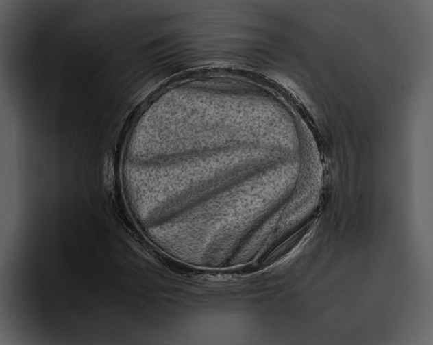 X0000095690969200801291214