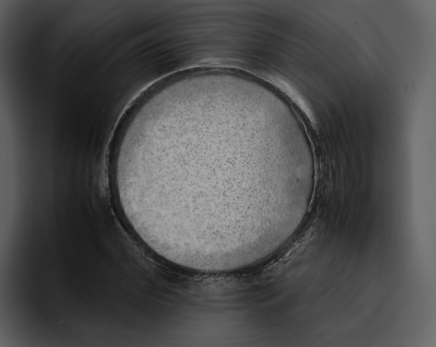 X0000095690972200801291214