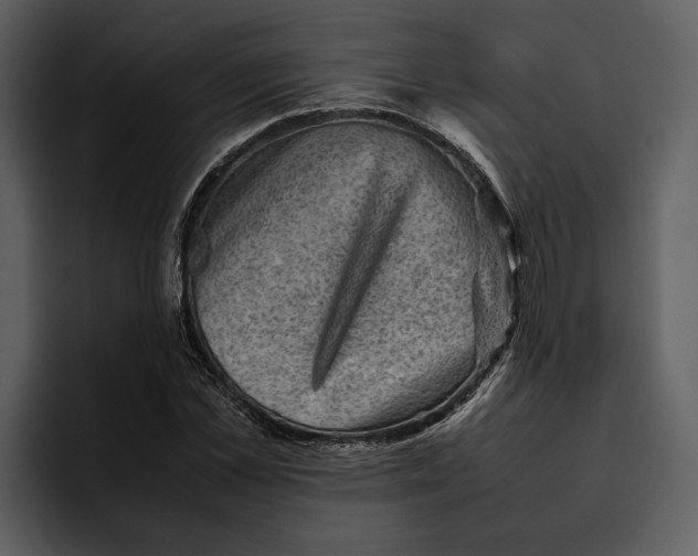 X0000095690973200801291214