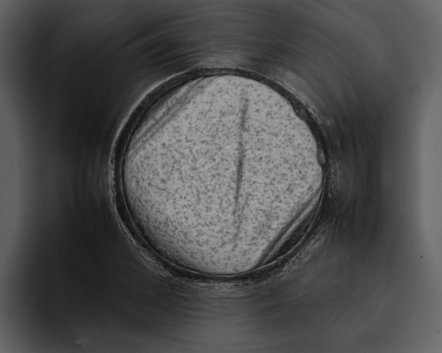 X0000095690976200801291214