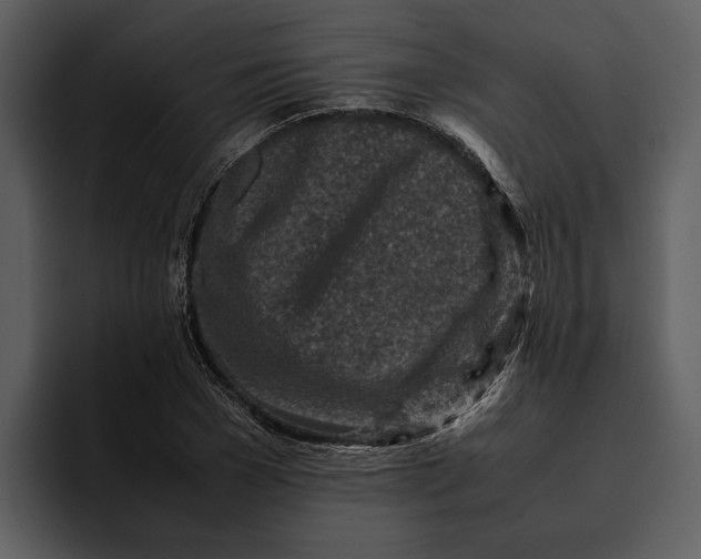 X0000095690977200801291214