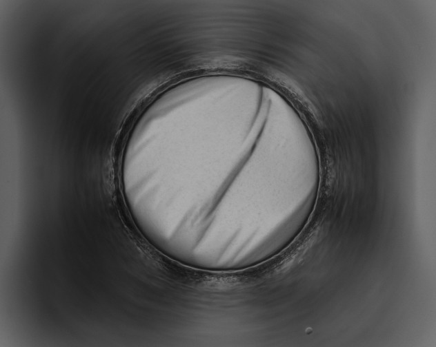 X0000095690978200801291214