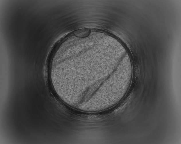 X0000095690979200801291214