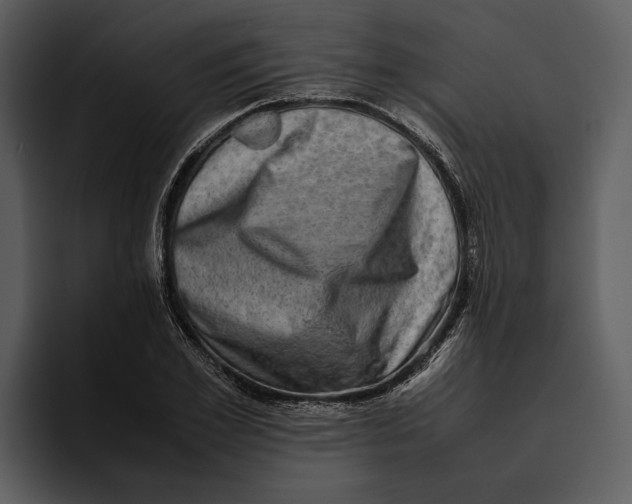 X0000095690981200801291214