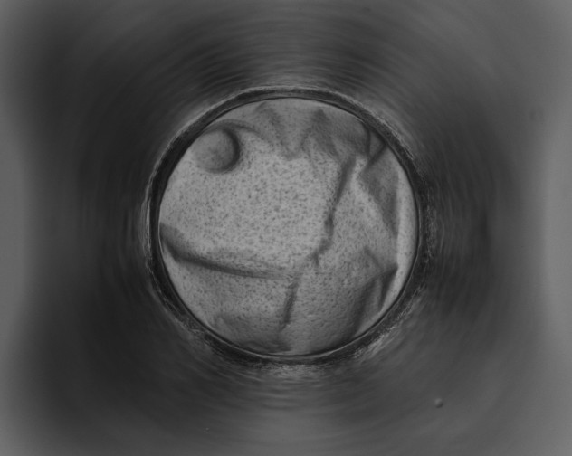 X0000095690982200801291214