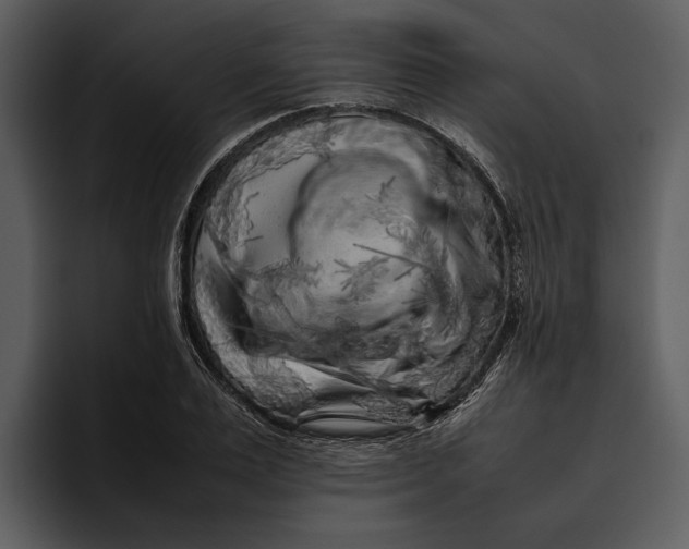 X0000095690983200801291214