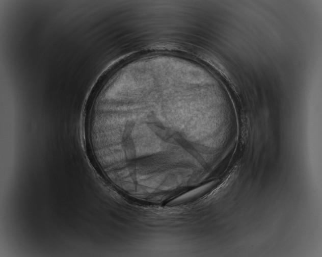 X0000095690984200801291213