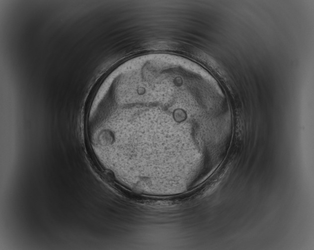 X0000095690986200801291213