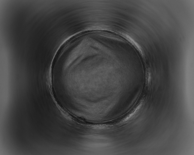 X0000095690988200801291213