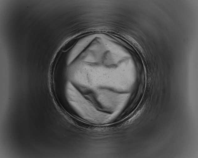 X0000095690989200801291213