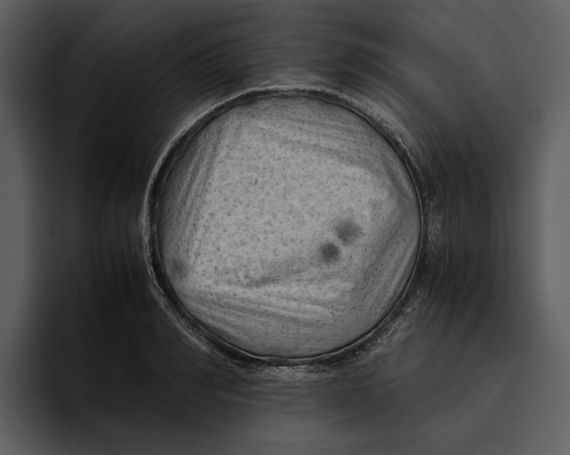 X0000095690990200801291213