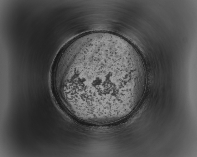 X0000095690991200801291213