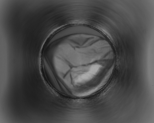 X0000095690992200801291213