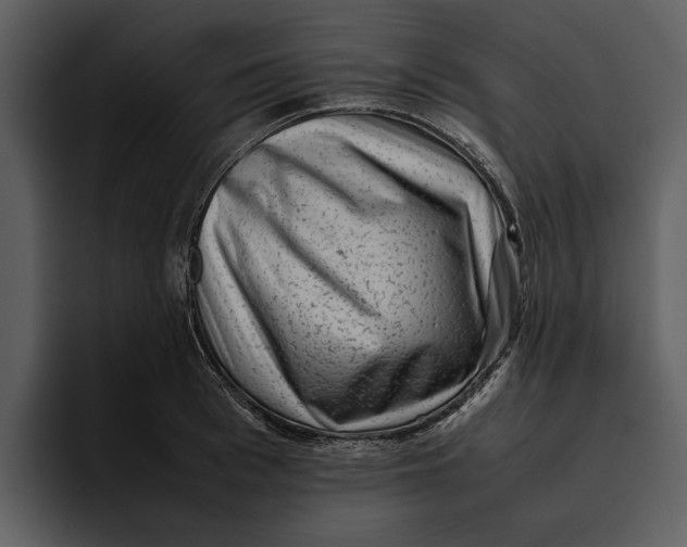 X0000095690993200801291213