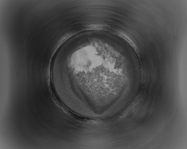 X0000095690994200801291213