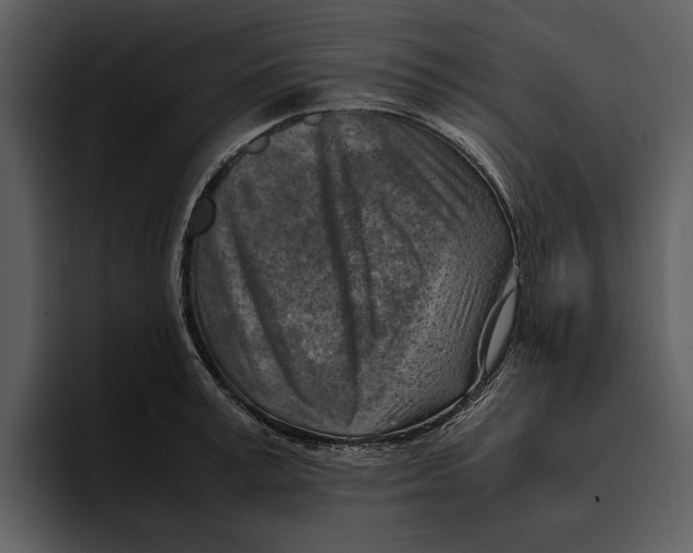 X0000095690995200801291213