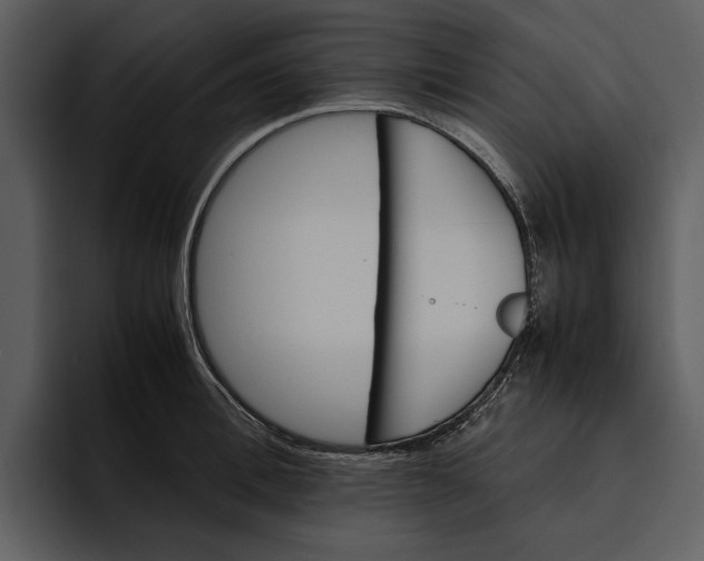 X0000095690996200801291213