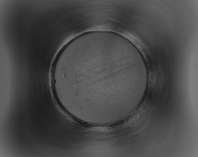 X0000095690998200801291213