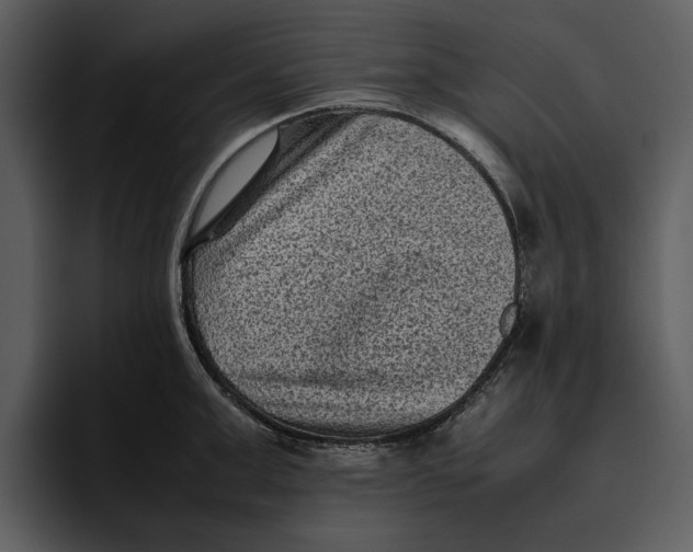 X0000095690999200801291213