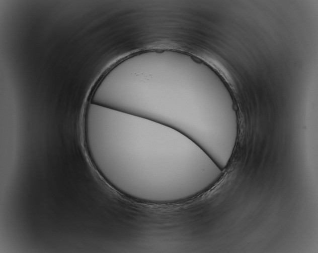 X0000095691000200801291213