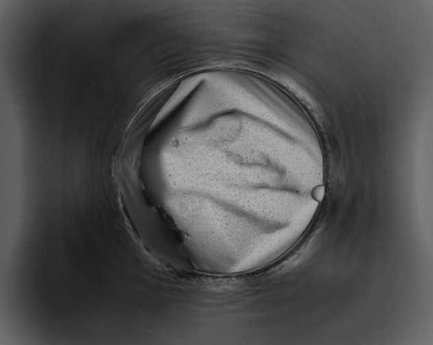 X0000095691001200801291213