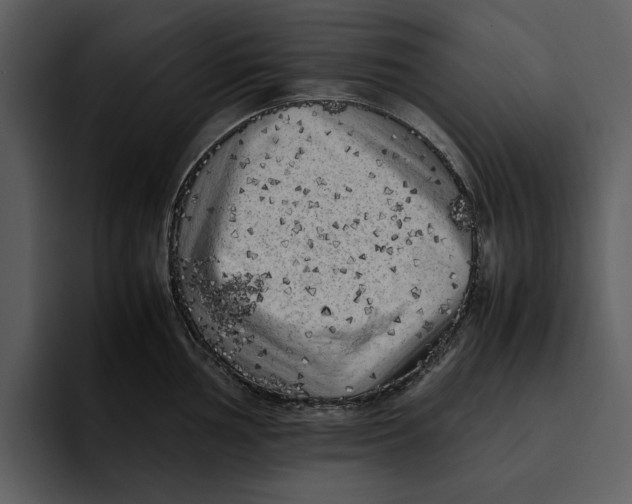 X0000095691002200801291213