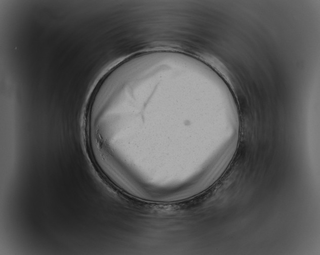 X0000095691003200801291213