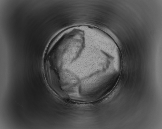 X0000095691004200801291213