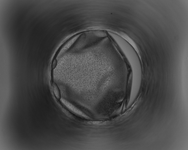 X0000095691005200801291213