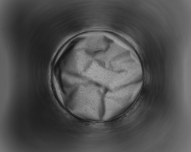 X0000095691006200801291213