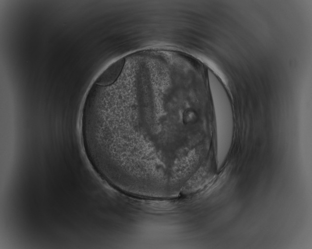 X0000095691007200801291213