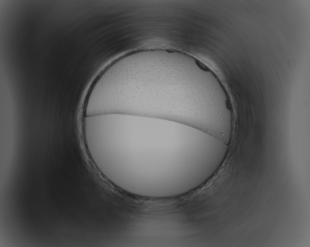 X0000095691008200801291213