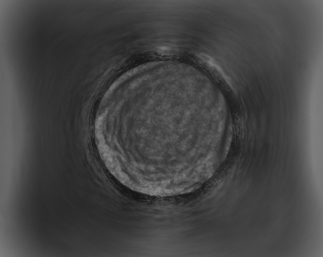 X0000095691009200801291213