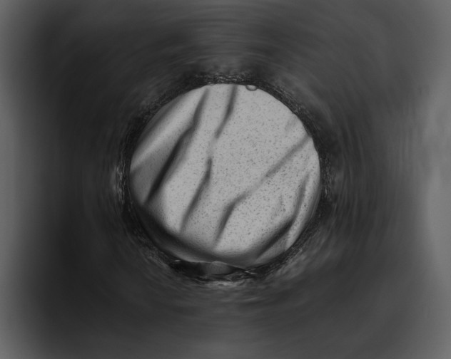 X0000095691010200801291213