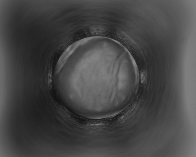 X0000095691011200801291213