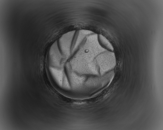 X0000095691012200801291213