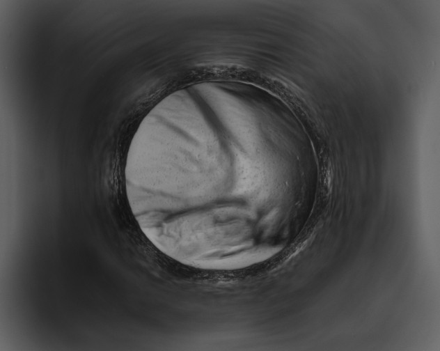 X0000095691014200801291213