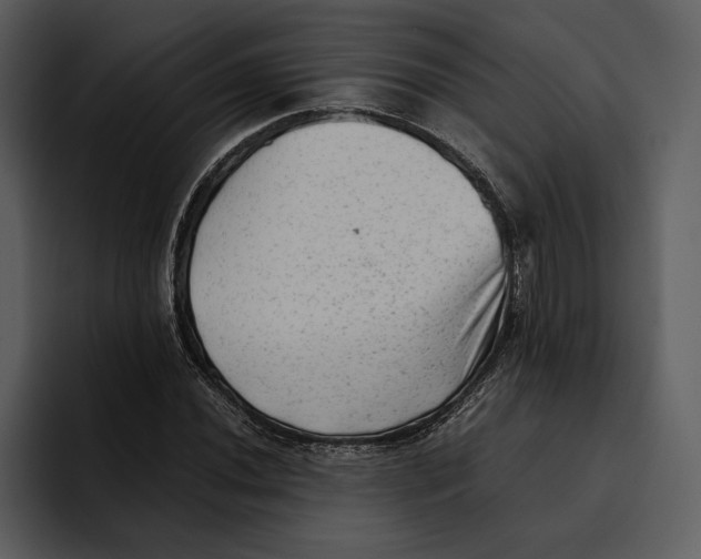 X0000095691020200801291213