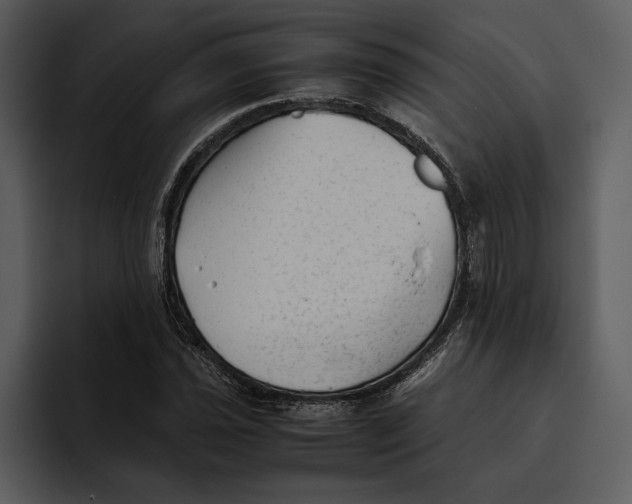 X0000095691021200801291213