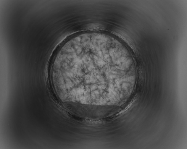 X0000095691023200801291213