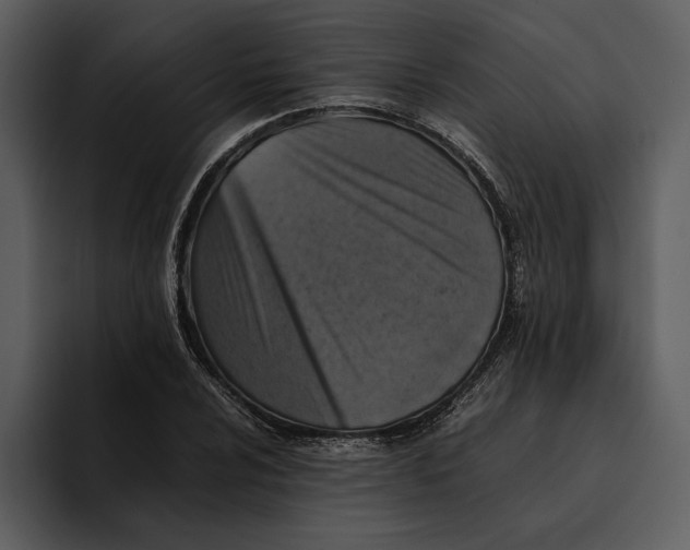 X0000095691024200801291213