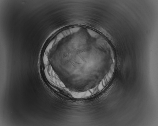 X0000095691028200801291213