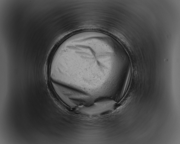 X0000095691030200801291213