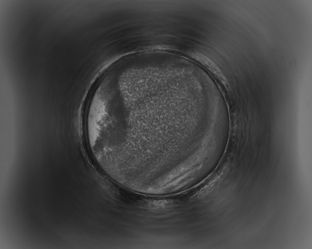 X0000095691031200801291213