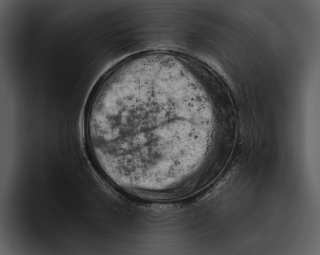 X0000095691032200801291213