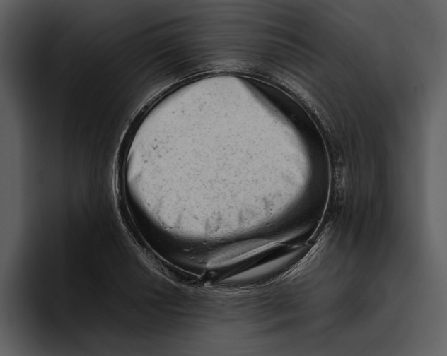 X0000095691034200801291213