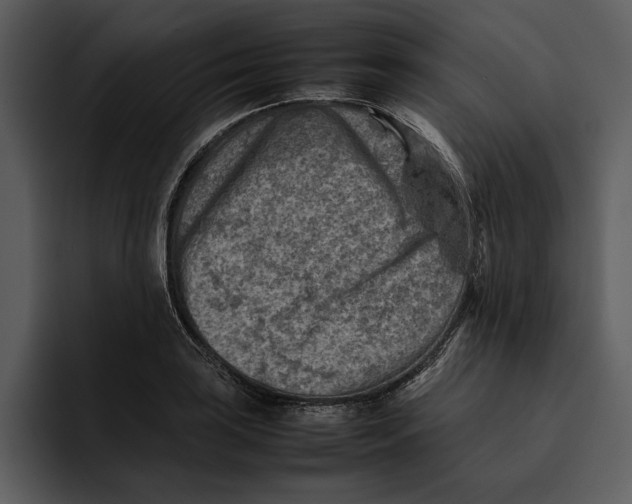 X0000095691035200801291213