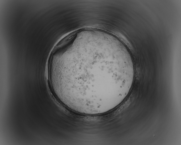 X0000095691036200801291213